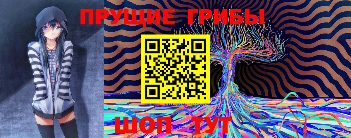 Скопин  Галлюциногенные грибы GOLDEN TEACHER  Вход с VPN 