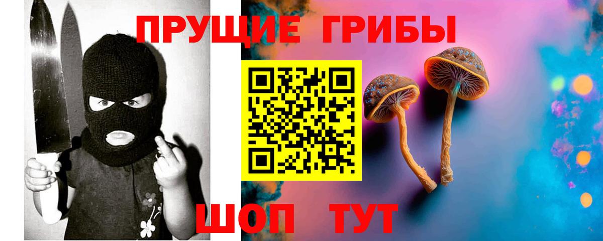 Галлюциногенные грибы Psilocybine cubensis Скопин